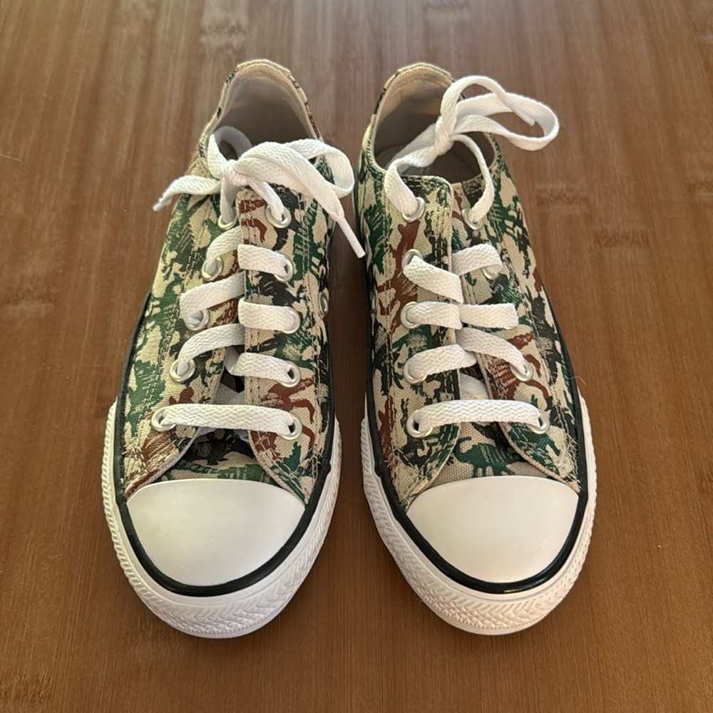 Converse | Dinosaur print Chucks 🦖 🦕